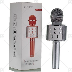 میکروفون و اسپیکر WSTER WS-858